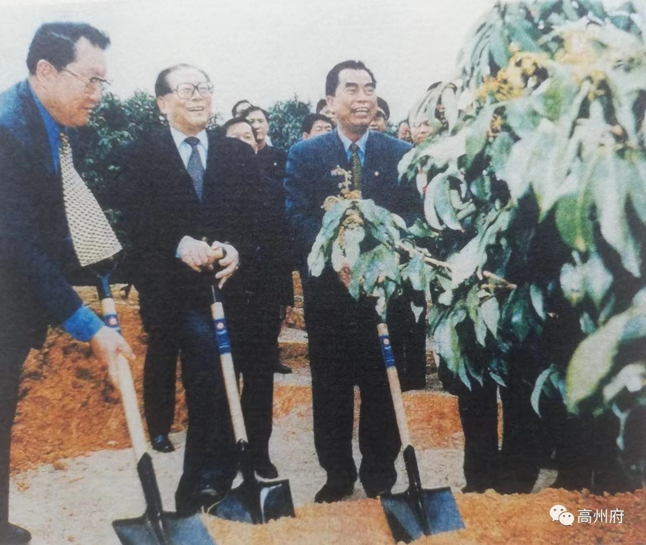 珩祥电保-中国荔枝博物馆星空网官方站入口-星空online(中国)用电改造