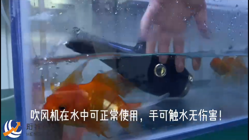 断星空网官方站入口-星空online(中国)
｜传统普通漏保怎么自检
